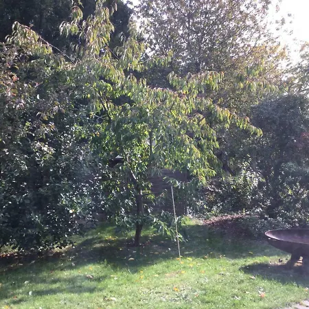 Fewo Radebeul Altkötzschenbroda Exterior foto